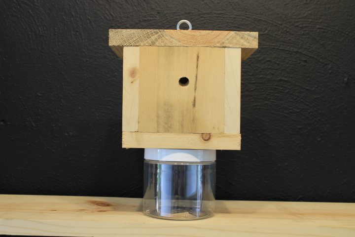 Carpenter Bee Trap, Pine Wood and Plastic Containers
